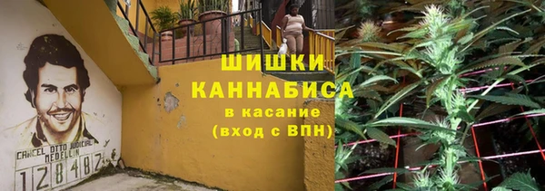 тгк Абаза