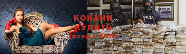 тгк Абаза