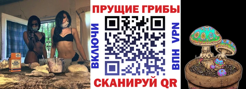 где купить наркоту  Ак-Довурак  Псилоцибиновые грибы GOLDEN TEACHER 